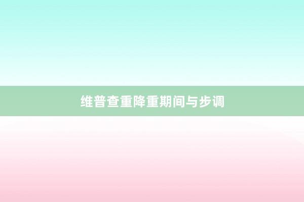 维普查重降重期间与步调